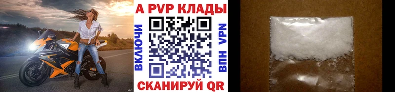 Альфа ПВП СК  Цоци-Юрт 