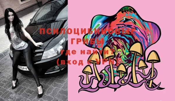 каннабис Майский
