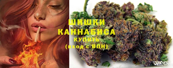 гашик Мегион