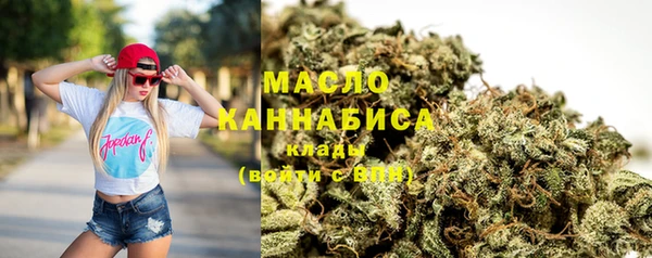 гашик Мегион