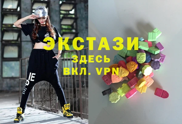 гашик Мегион