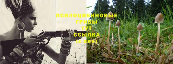 соль ск Медвежьегорск