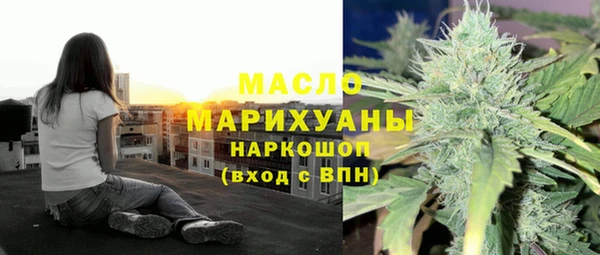 гашик Мегион